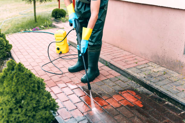 Best Sidewalk and Walkway Cleaning  in Hodgkins, IL